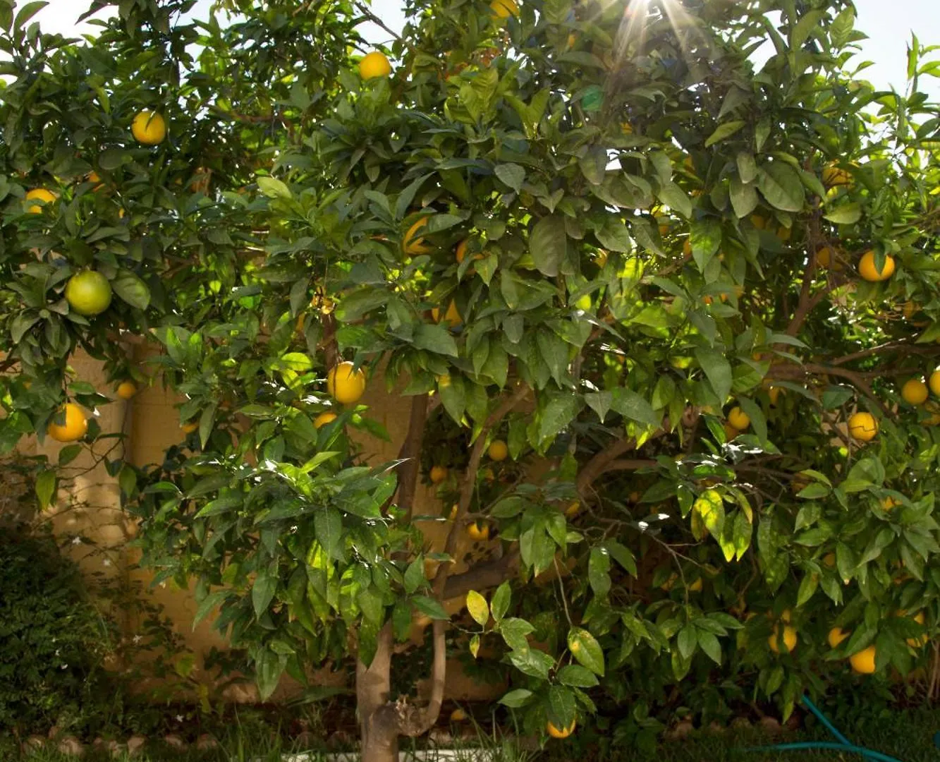 El Regreso El Pinar Lägenhet Torremolinos 0*,  Spanien